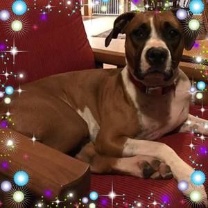 Meet your Posher, Marsha